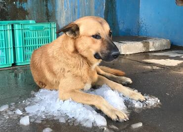 ¿Otoño caluroso? Este será el clima para hoy, lunes 25 de septiembre, en CDMX