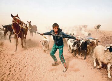 Las fuerzas iraquíes entran a la zona urbana de Mosul