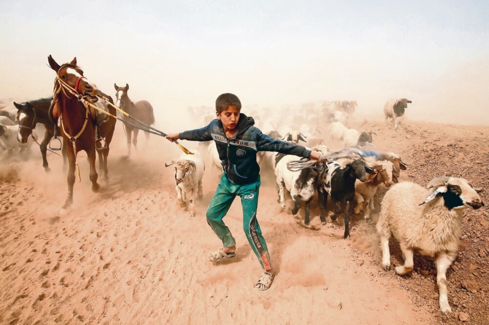 Las fuerzas iraquíes entran a la zona urbana de Mosul