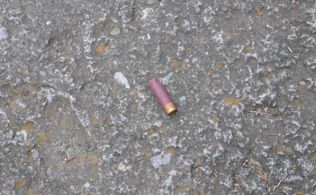 Foto: Archivo EL UNIVERSAL