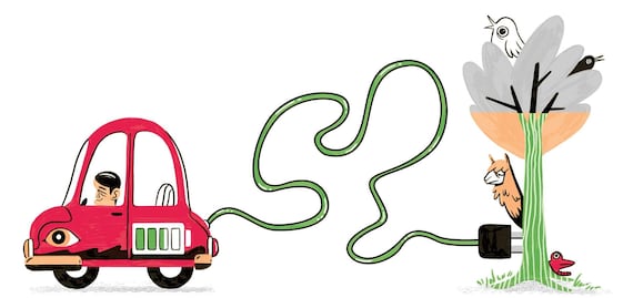 La incongruencia sobre el ambiente