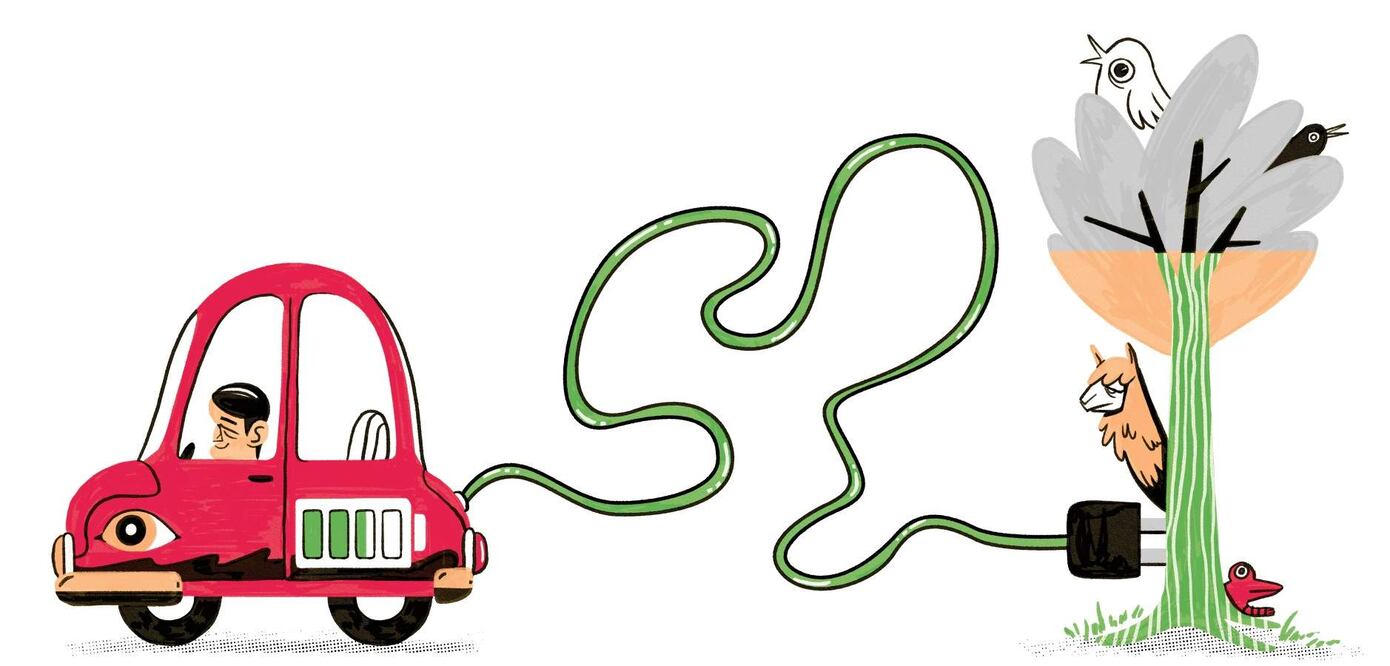 Ilustración Ani Cortés El Universal