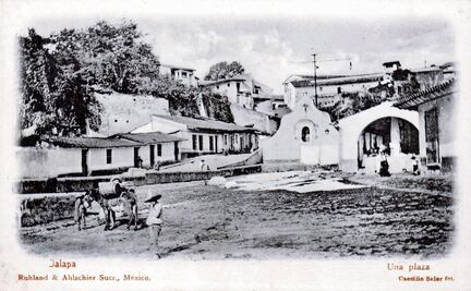 Un libro-homenaje a la Xalapa que ya no es: Xalapa, la eterna