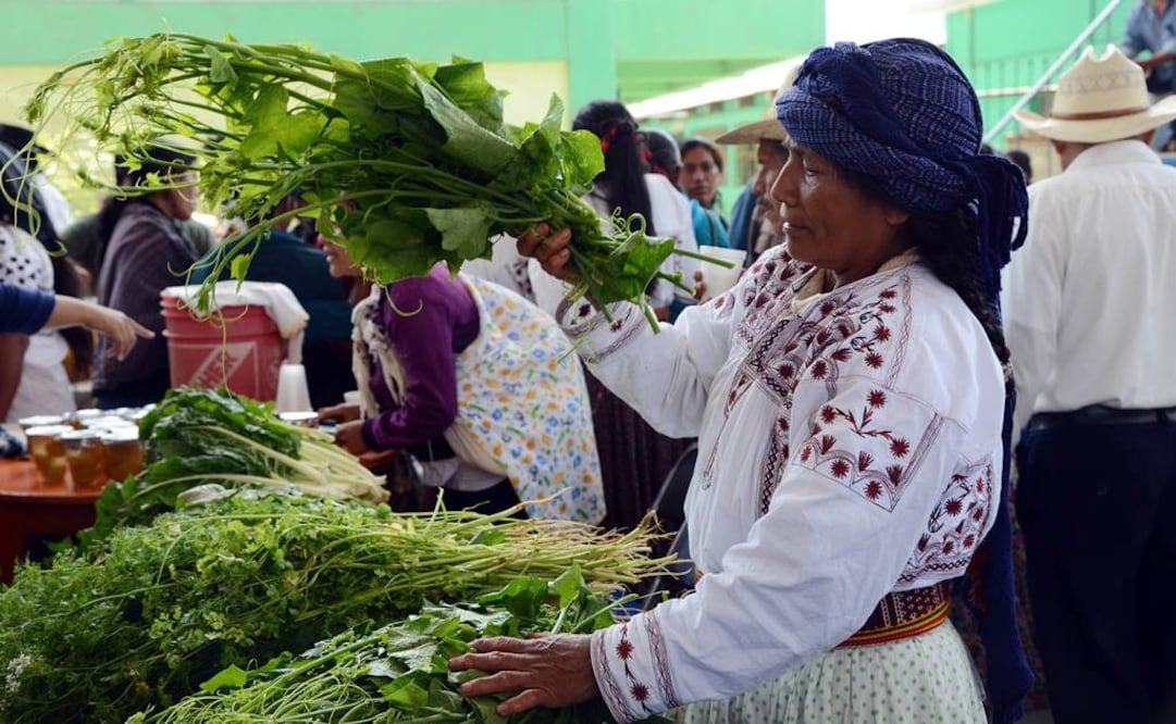 La cantante Susana Harp alertó que el plagio realizado por Marant no es único; en México, dijo, hay tiendas que venden ropa con motivos oaxaqueños sin que eso les represente beneficios a las comunidades de donde provienen. FOTO: EFE.