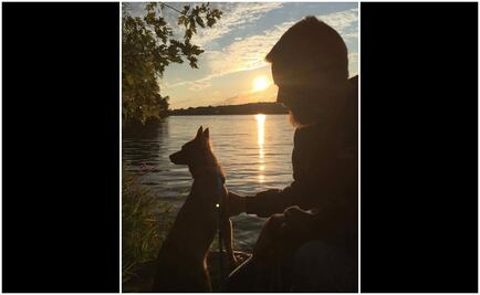 Perro rescatado por SSP pasa del maltrato a vivir en NY