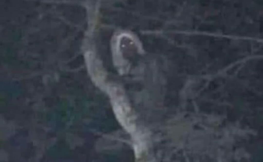 Foto: Archivo EL UNIVERSAL