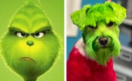 Mujer pinta a su perro como el ‘Grinch’ y causa polémica en redes sociales 