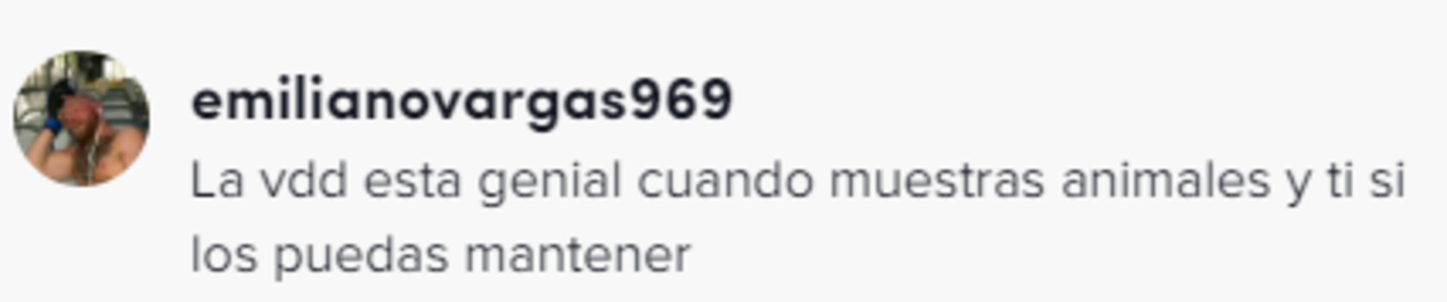 El influencer Fofo Máquez presume su peculiar mascota y otros lujos de su habitación