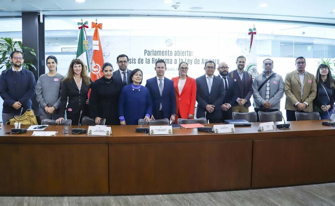 Concluyen audiencias públicas de reforma a Ley de Amparo en el Senado. Foto: Especial