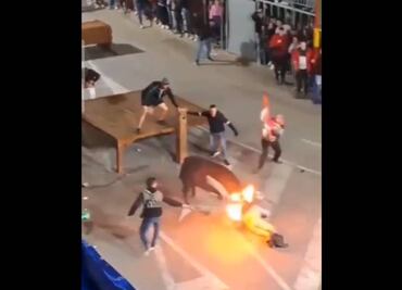 La “venganza del toro”: animal embiste a un hombre que le prendió fuego en los cuernos