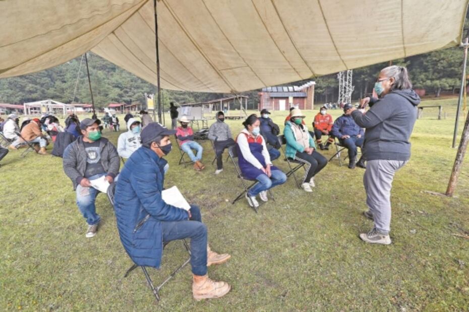 Virus no frena las visitas a las mariposas monarca