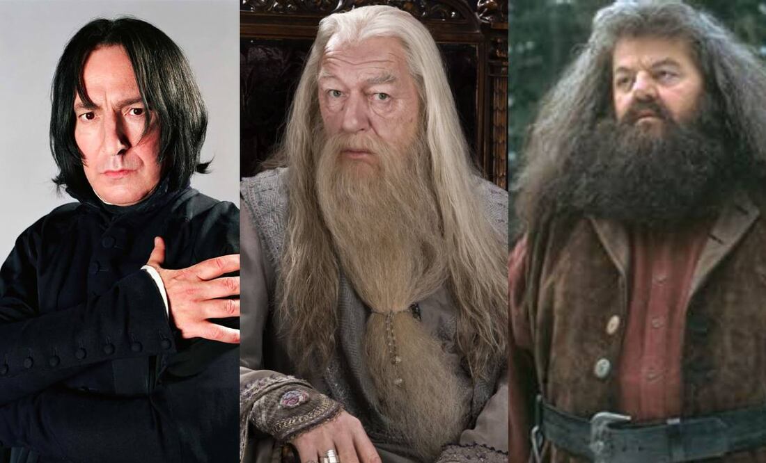 La saga del famoso mago ha perdido a varios de sus más queridos integrantes. Foto:IMDB