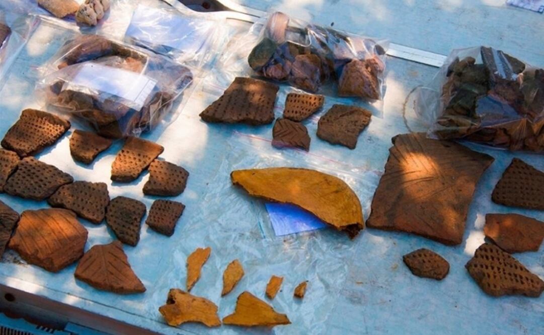 Foto: Universidad Federal del Lejano Oriente de Rusia vía Europa Press