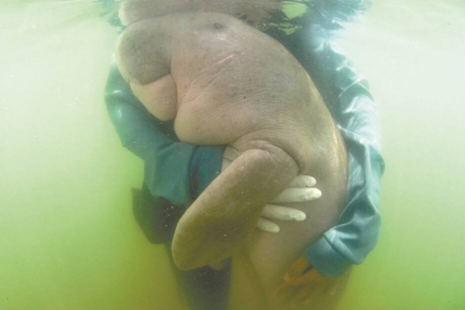 Guerra contra el plástico