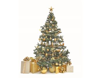 La rama que dio pie al árbol de Navidad