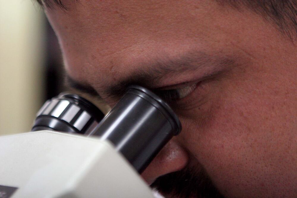 Foto: archivo/EL UNIVERSAL