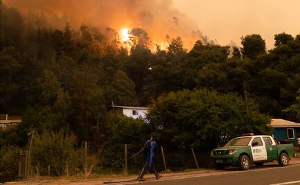 Sube a 22 la cifra de muertos por incendios forestales en Chile 