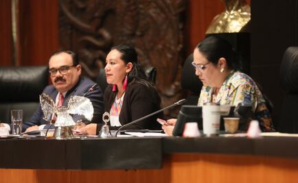 La política del Bienestar se presenta con blusa bordada en Guerrero