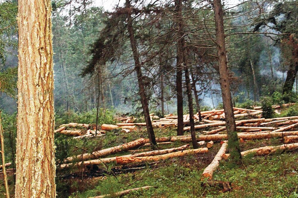 Foto: Archivo EL UNIVERSAL