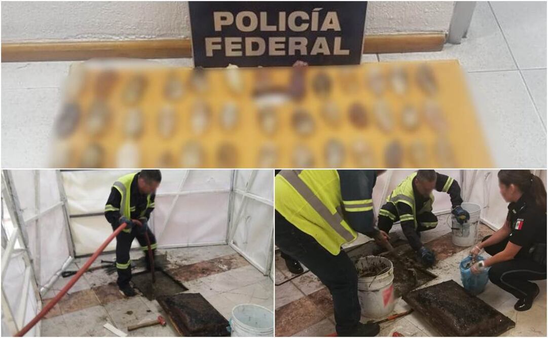 FOTO: Policía Federal