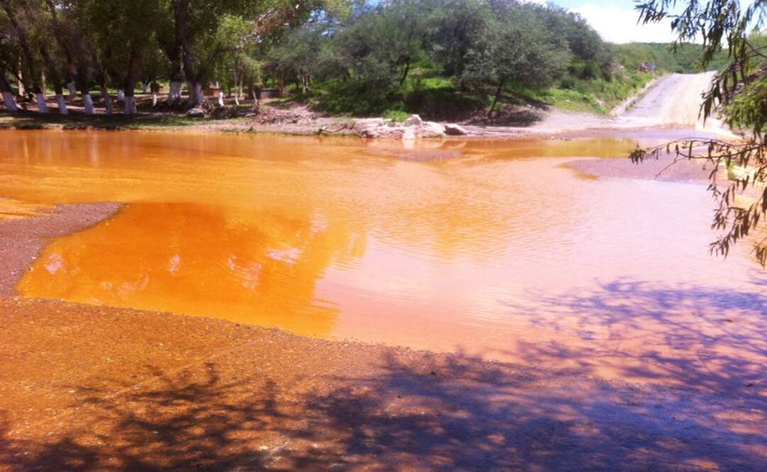 Foto: Archivo/ EL UNIVERSAL  