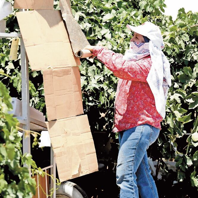 Trabajo. La visa H-2B permite a los empleados extranjeros llegar a EU y laborar como jornaleros y en hoteles, entre otros espacios. ARCHIVO AP