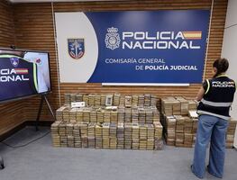 Golpe al CJNG: desmantelan oficina del cártel en España y detienen a 20 personas