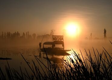 Xochimilco: guía de lugares y experiencias auténticas