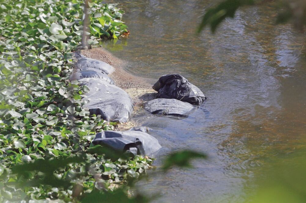 Flotan en canal. En el municipio de Tlajomulco de Zúñiga fueron hallados 5 cadáveres envueltos en bolsas de plástico negras. Foto: CARLOS ZEPEDA. EL UNIVERSAL