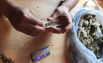 PGR decomisa mariguana y peyote en NL 