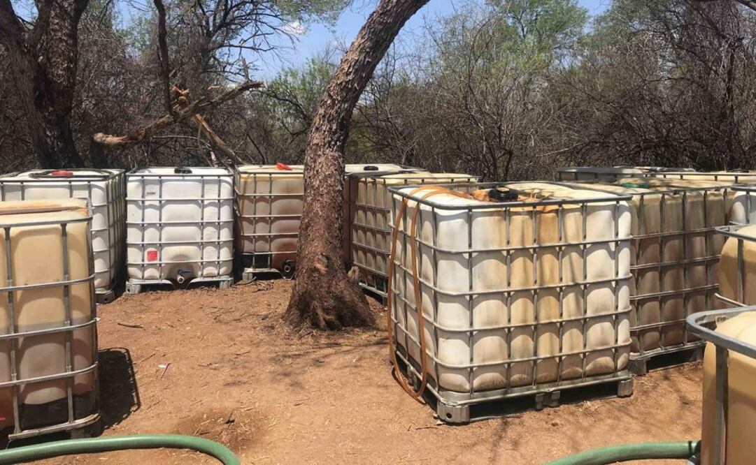 El campamento se ubicaba en el municipio de La Colorada. Foto: Especial
