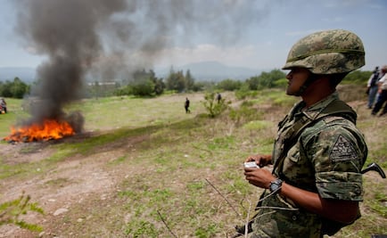 Incineran más de cinco toneladas de droga en Jalisco