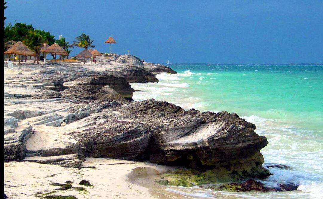 ¿Por qué sí queremos a los tiburones?