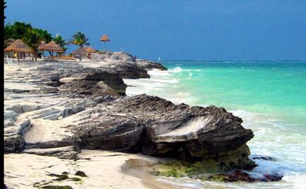 ¿Por qué sí queremos a los tiburones?