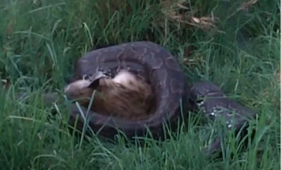 (FOTO: Tomada de Youtube)