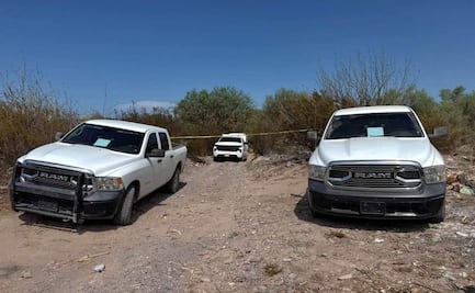 Hallan dos osamentas durante búsqueda de desaparecidos en Mulegé, BCS; suman mil 208 personas no localizadas