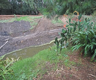 Canal Nacional, en riesgo: WMF