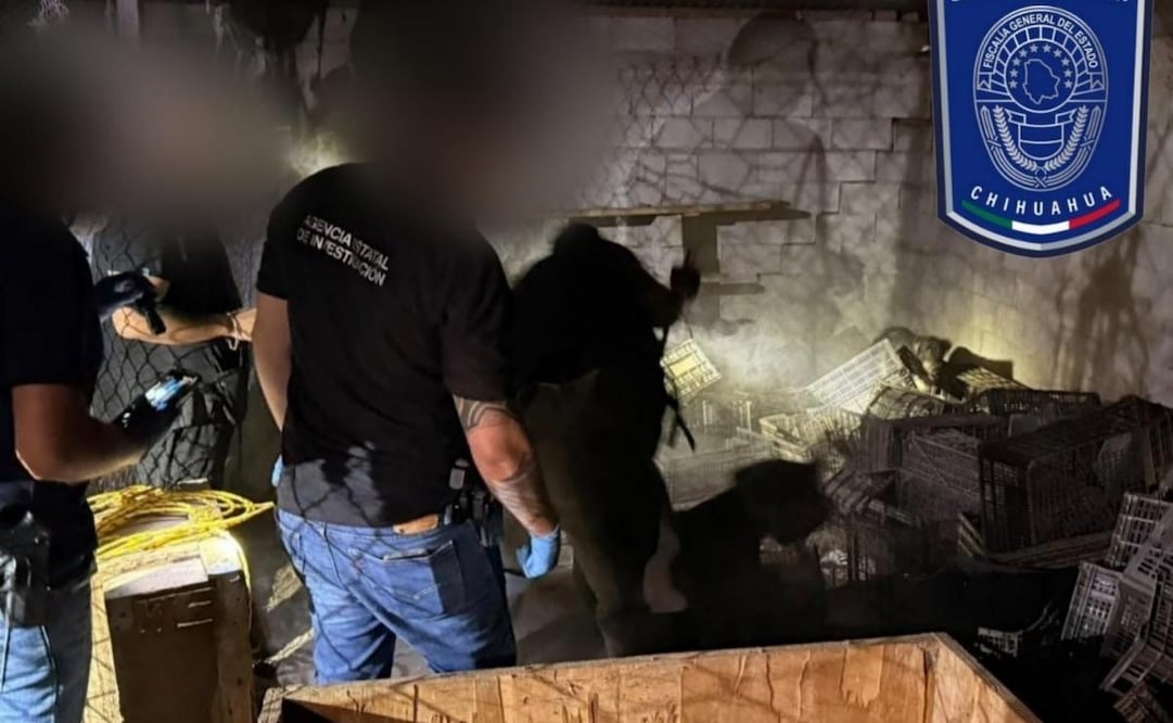 Rescatan a seis perros en situación de maltrato y encuentran seis más sin vida. 15/09/2026. | Foto: Cortesía de la Agencia Estatal de Investigación Chihuahua.