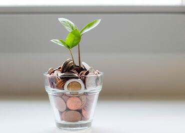 Afore: ¿Cuánto ahorro tienen los jóvenes para su retiro en México? Invitan a realizar aportaciones voluntarias