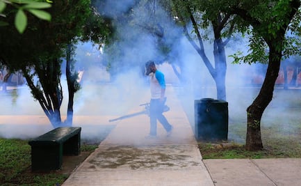 Piden declarar emergencia por dengue en Nuevo León; se registran más de 5 mil casos