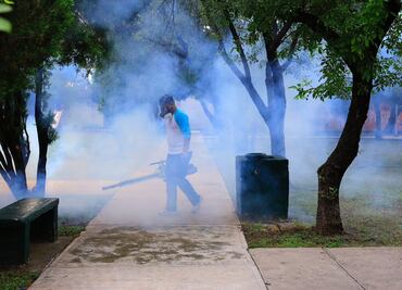 Piden declarar emergencia por dengue en Nuevo León; se registran más de 5 mil casos