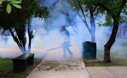Piden declarar emergencia por dengue en Nuevo León; se registran más de 5 mil casos