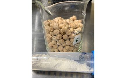 Investigadores del IPN buscan prevenir el cáncer de colon y de recto con garbanzo cocido