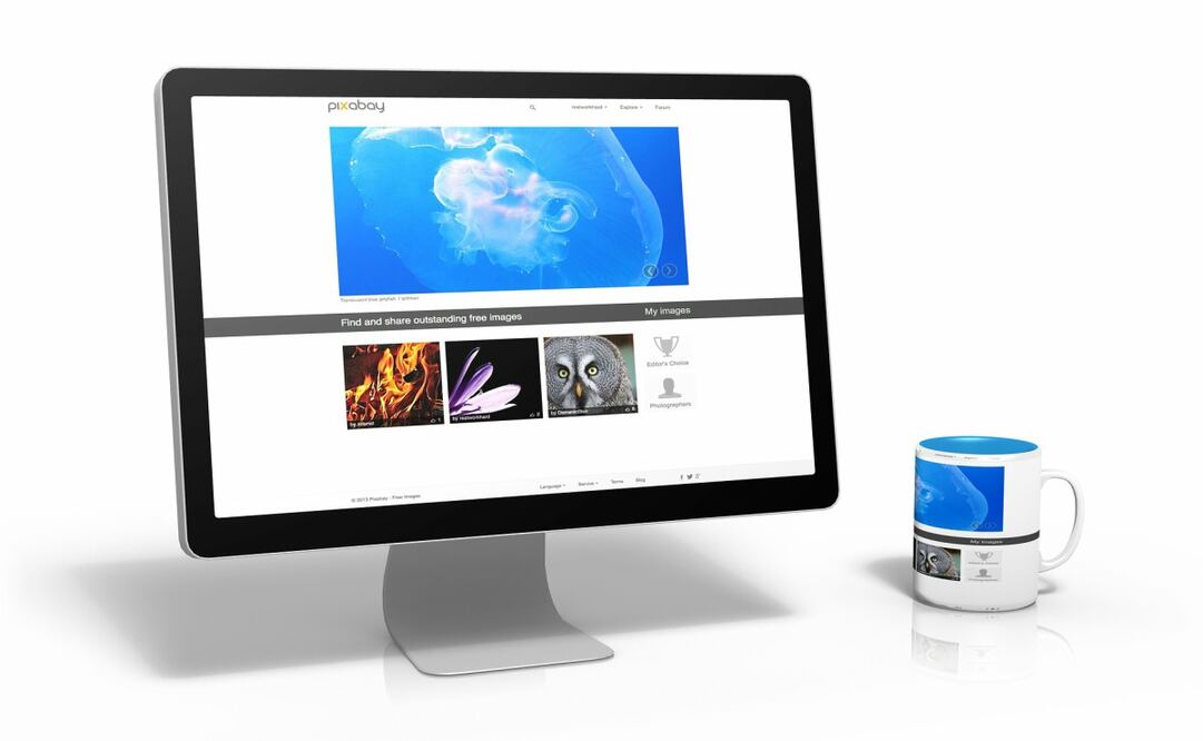 Es contenido que se puede utilizar sin infringir copyrights y sin tener que pagar para descargarlo. Imagen Pixabay