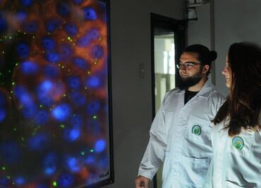 Identifican una nueva bacteria en la garrapata de un murciélago