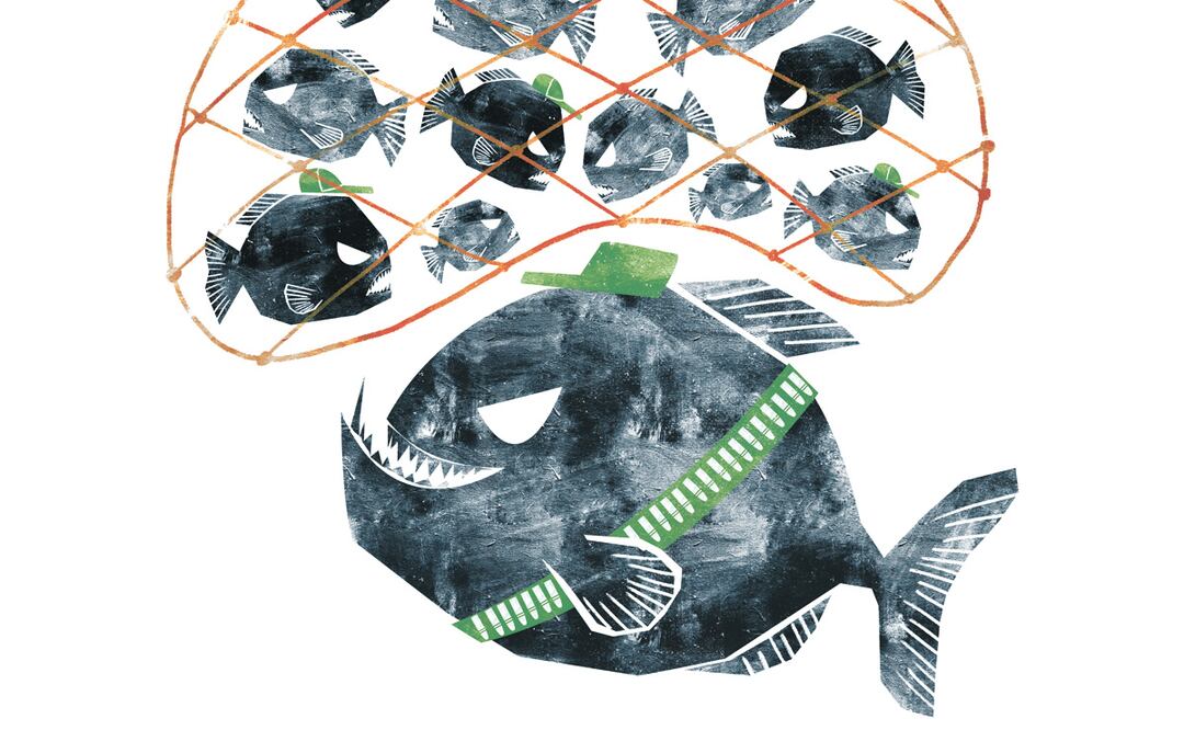 Ilustración: Ani Cortés