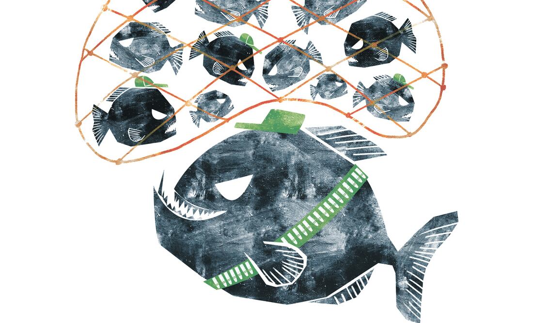 Ilustración: Ani Cortés