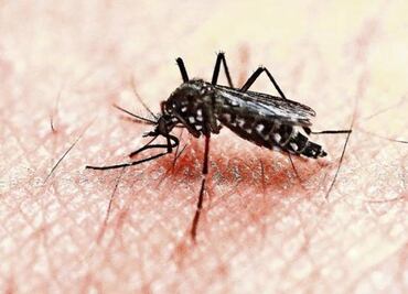 Mexican authorities report cases of Zika linked Guillain-Barre syndrome