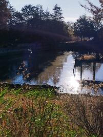 Ordenan proteger zona ambiental Espíritu Santo