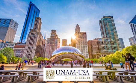 ¡Estudia inglés en la UNAM Chicago! Fechas, costos y requisitos del curso Verano Puma 2026